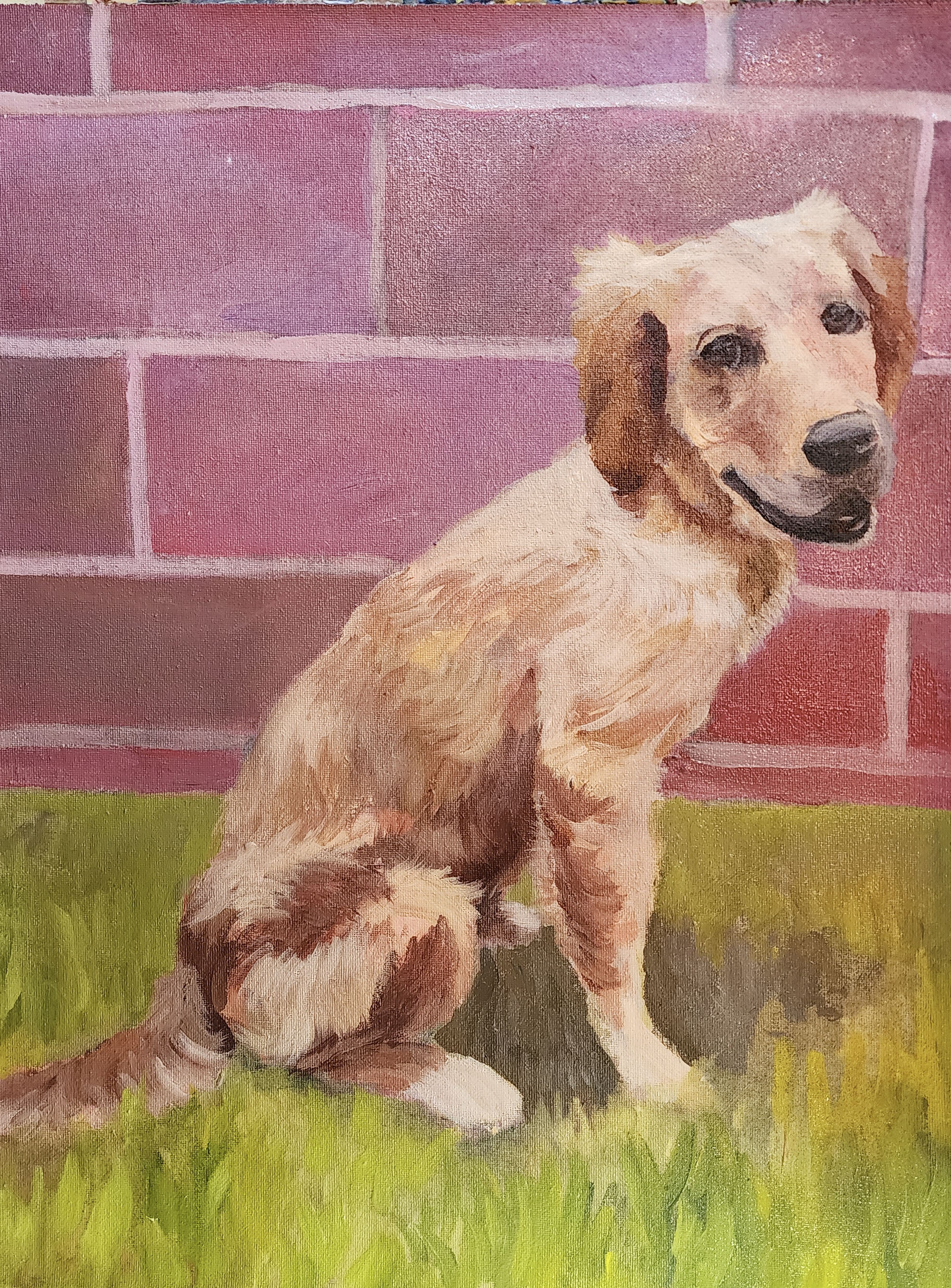 Hand-painted acrylic dog portrait commission